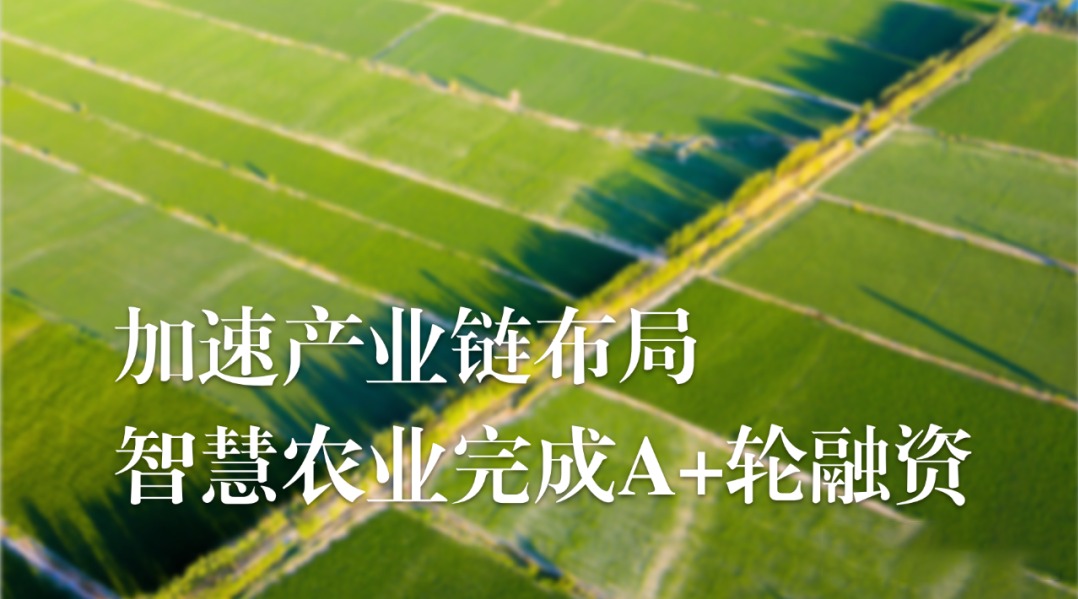 加速農業(yè)產業(yè)鏈布局，今年會jinnianhui官方網站完成A+輪融資