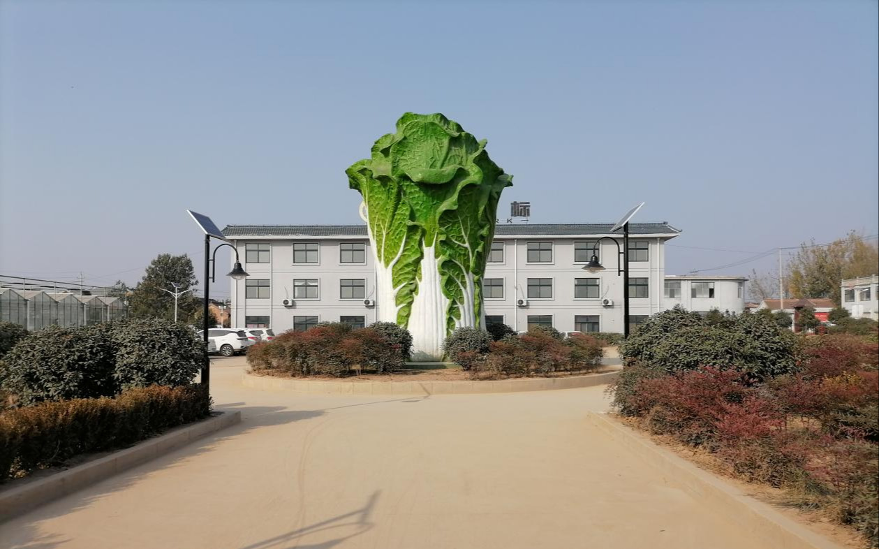山東菏澤有機地標高效農業科技示范園